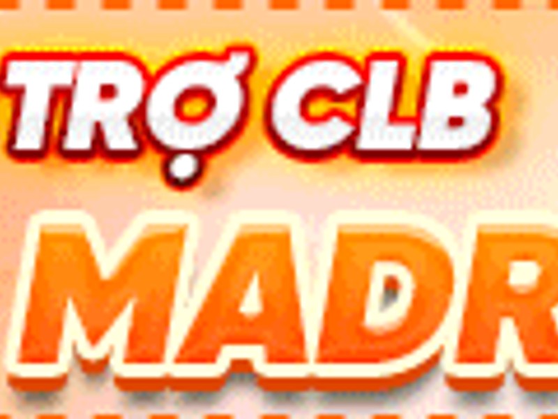 Tham gia các sự kiện và cuộc thi