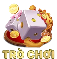Biểu tượng bảo mật PG88